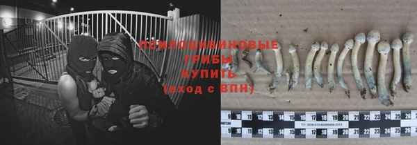 дурь Белоозёрский