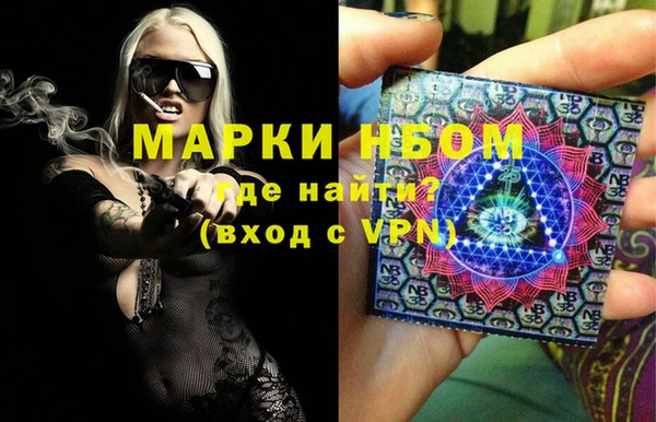 трава Белокуриха
