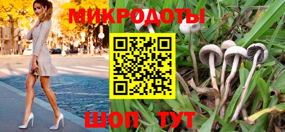 Галлюциногенные грибы ЛСД Воркута