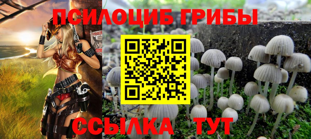 Воркута  Псилоцибиновые грибы GOLDEN TEACHER  закладки  Вход с VPN  Галлюциногенные грибы ЛСД 